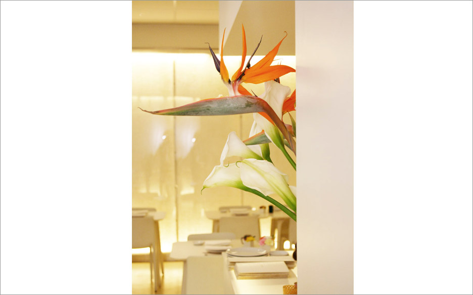 ristorante yoshi